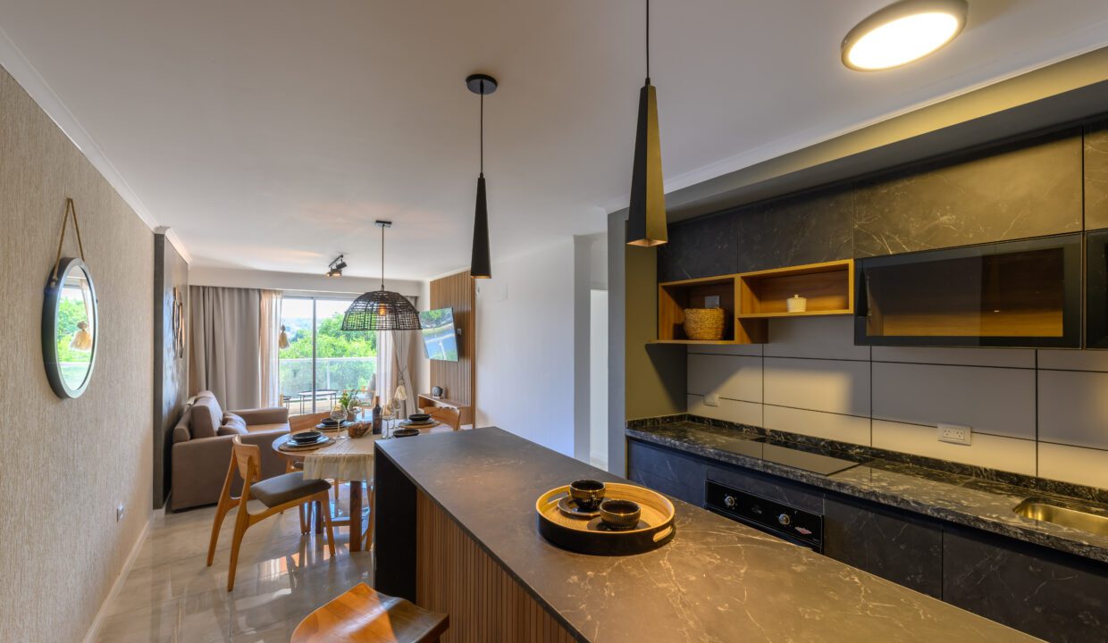 001 - 01-2025 - ESTUDIO MAPS E5 ph g viramonte-7000-HDR