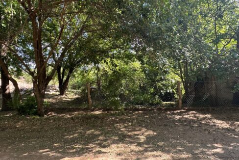 5135dc83-cbe6-4a3b-9df7-82dce03e284a