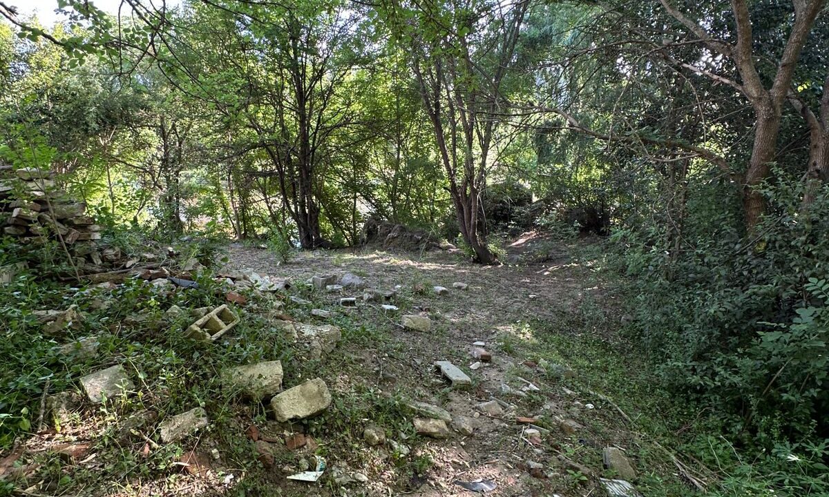 8dd3152f-c140-4661-88c7-75c889ac9658