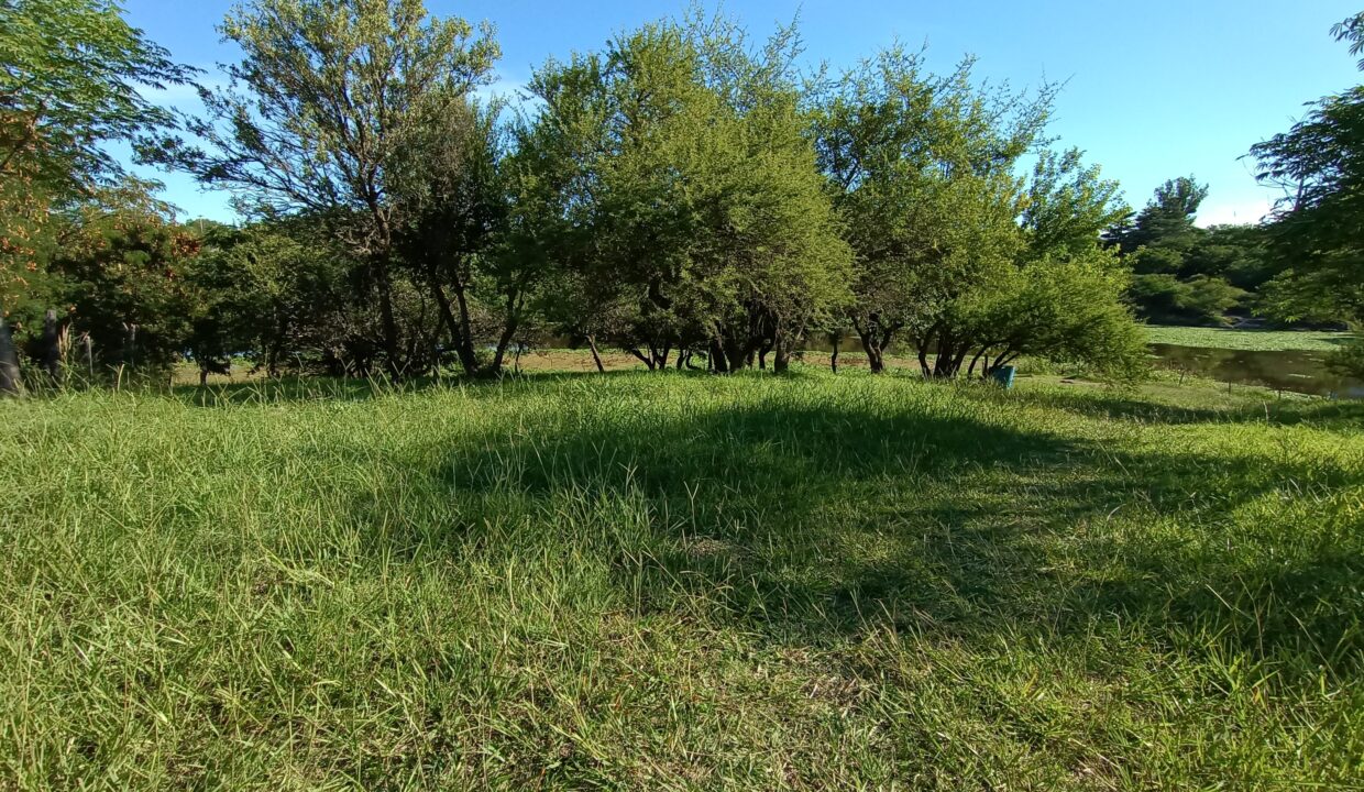 IMG_20220314_173157287