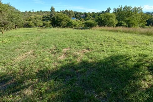 IMG_20220314_173835759_HDR