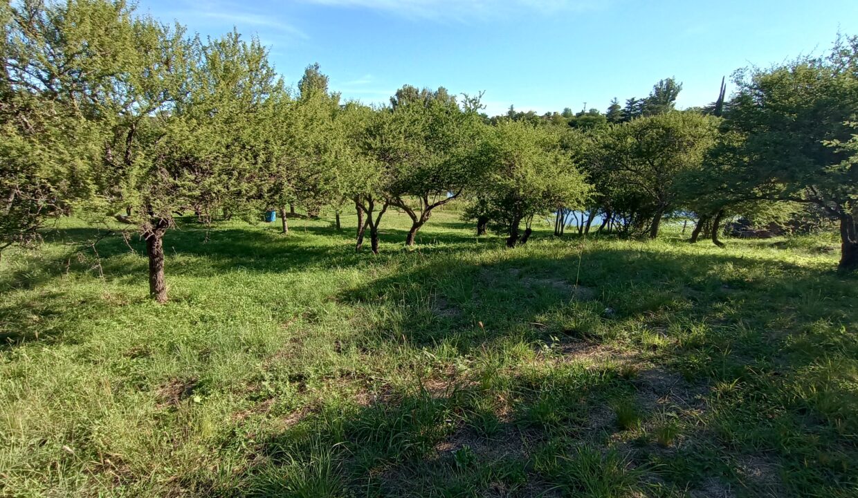 IMG_20220314_174031455_HDR