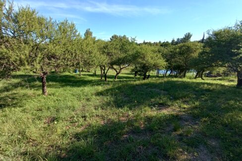 IMG_20220314_174031455_HDR
