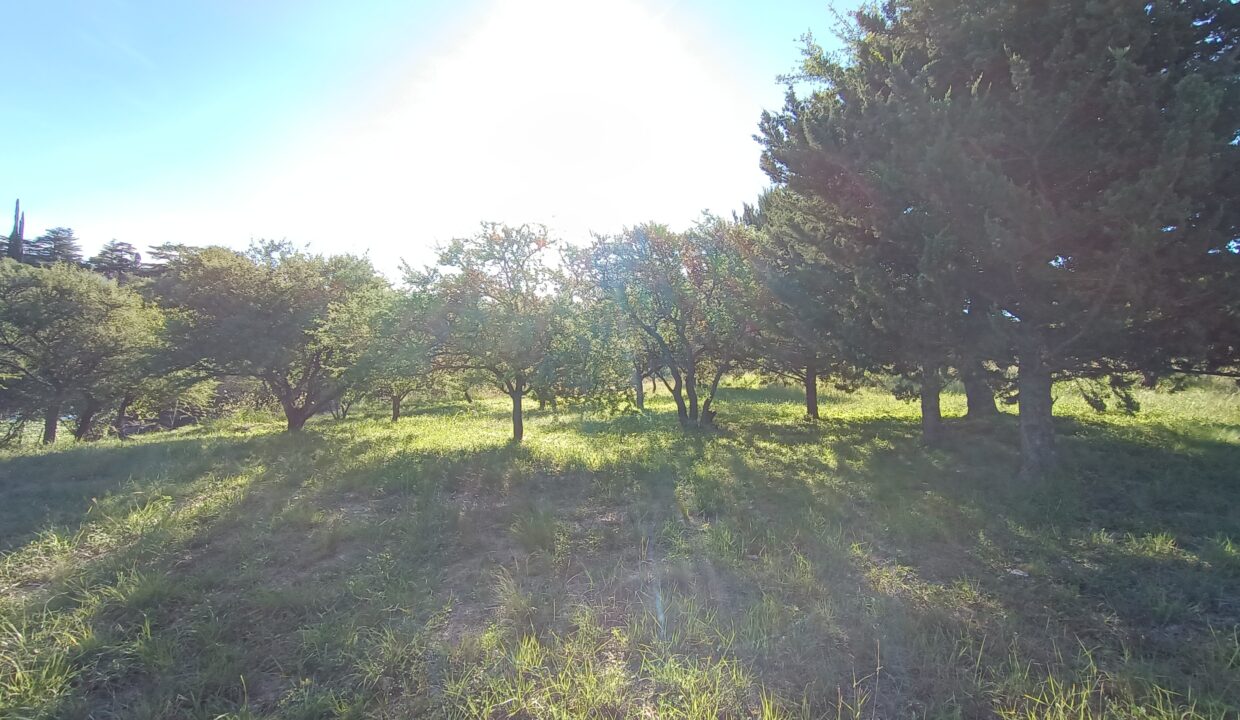 IMG_20220314_174044520