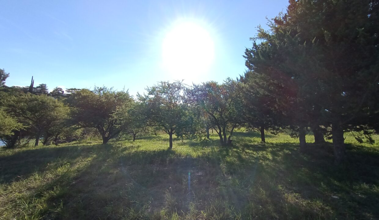 IMG_20220314_174052867