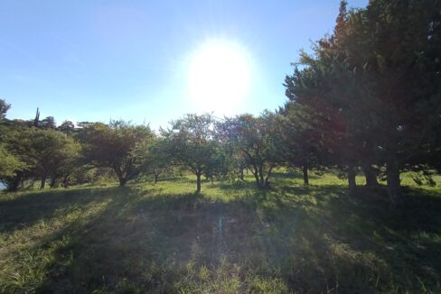 IMG_20220314_174052867
