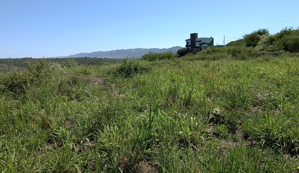 IMG_20230105_110641874