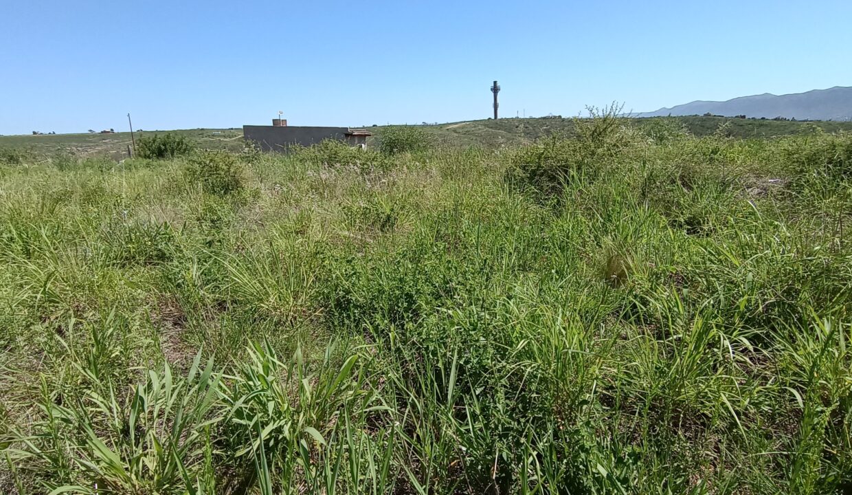 IMG_20230105_110646271