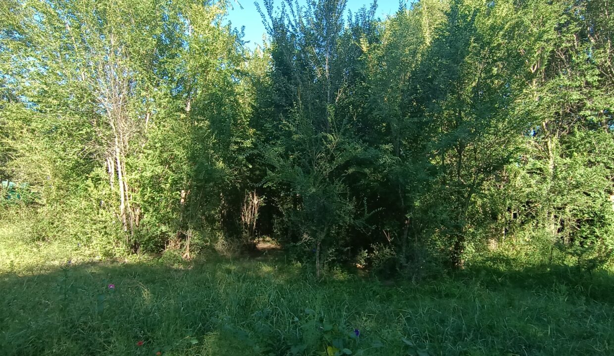 IMG_20230309_092002667