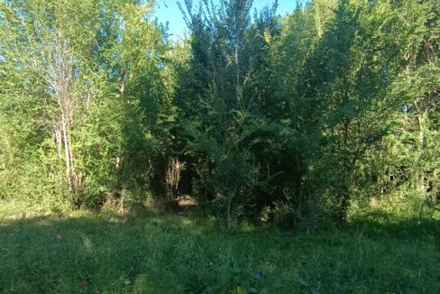 IMG_20230309_092002667