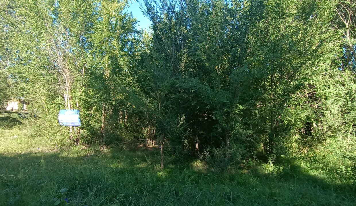 IMG_20230309_092826029