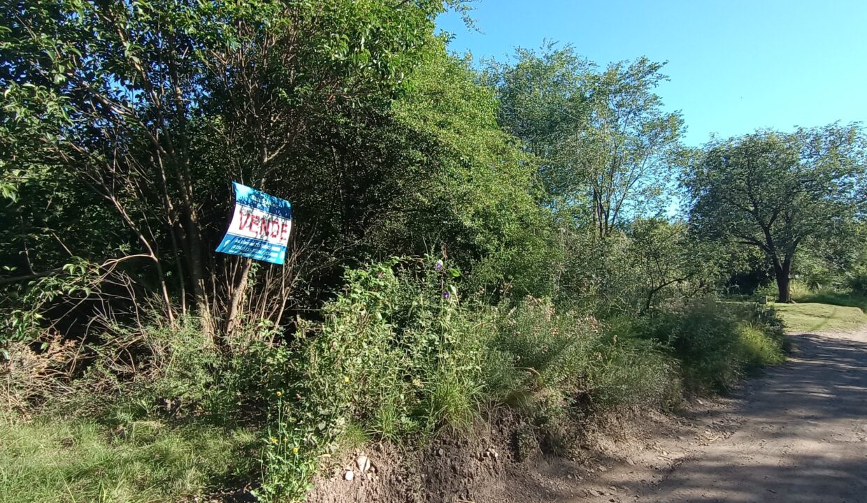 IMG_20230309_094358177