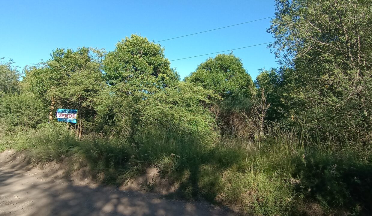 IMG_20230309_094416751