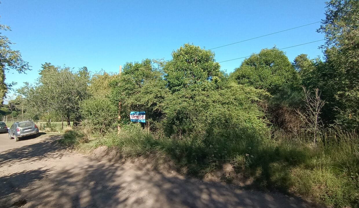 IMG_20230309_094433544