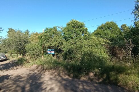 IMG_20230309_094433544