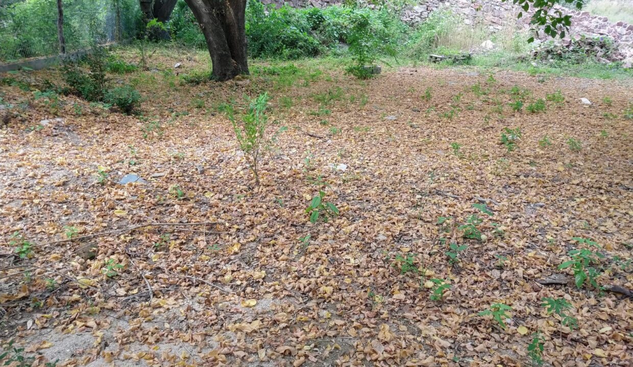 WhatsApp Image 2022-07-18 at 7.47.47 PM