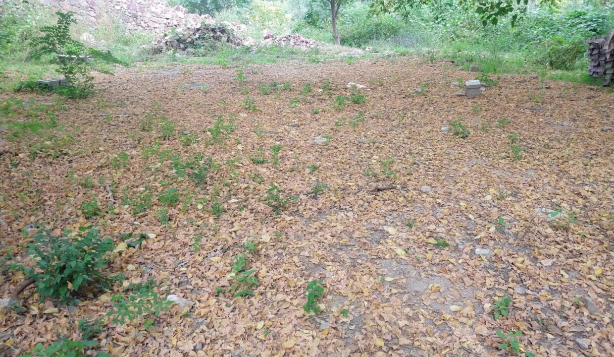 WhatsApp Image 2022-07-18 at 7.47.48 PM (2)