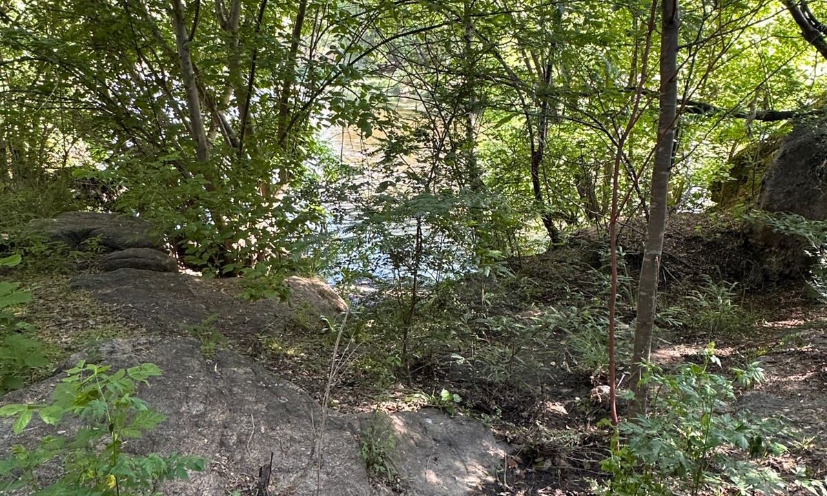 a5df6e3d-68a6-4729-90f9-92abde6254eb