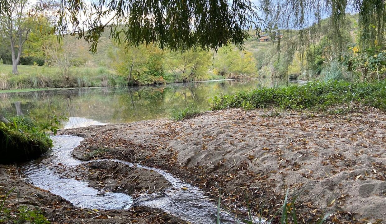 fba78fe8-d923-4a53-b91f-eff95d07892a