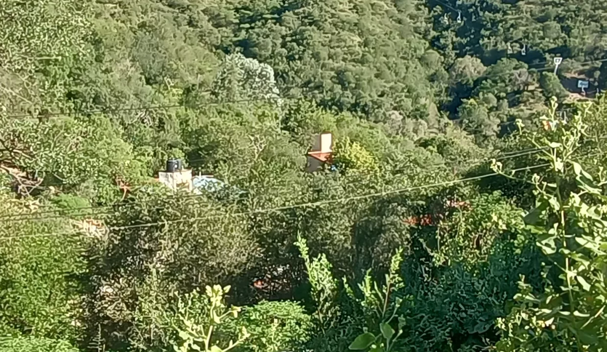 IMG_20230314_173544969_HDR