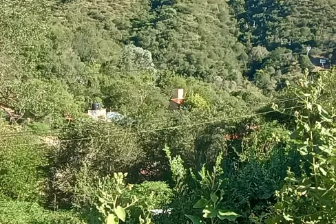 IMG_20230314_173544969_HDR