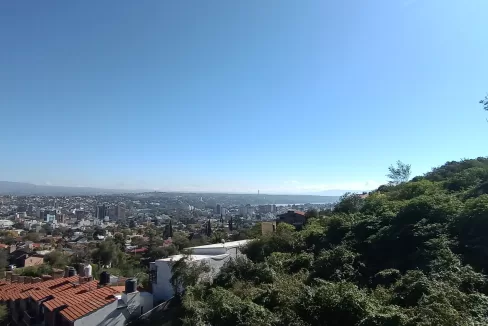 IMG_20230417_105748799