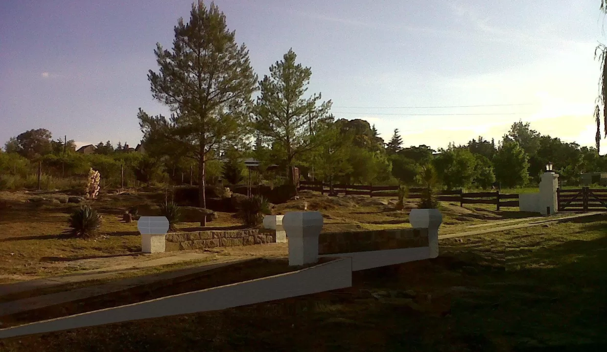 WhatsApp Image 2024-01-17 at 08.51.21