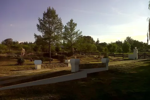 WhatsApp Image 2024-01-17 at 08.51.21