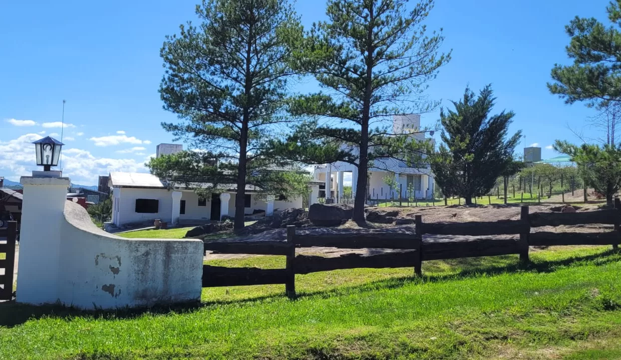 WhatsApp Image 2024-03-19 at 18.05.42 (1)