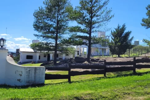 WhatsApp Image 2024-03-19 at 18.05.42 (1)