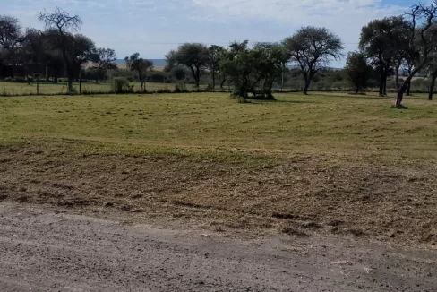 WhatsApp Image 2024-05-20 at 12.43.15 (1)