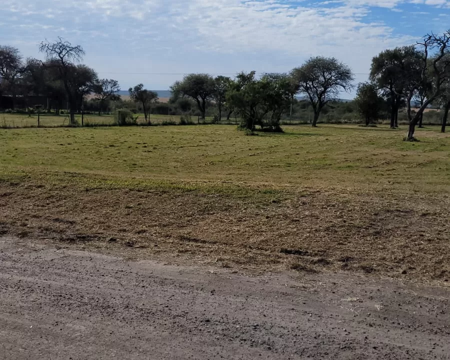 WhatsApp Image 2024-05-20 at 12.43.15 (1)