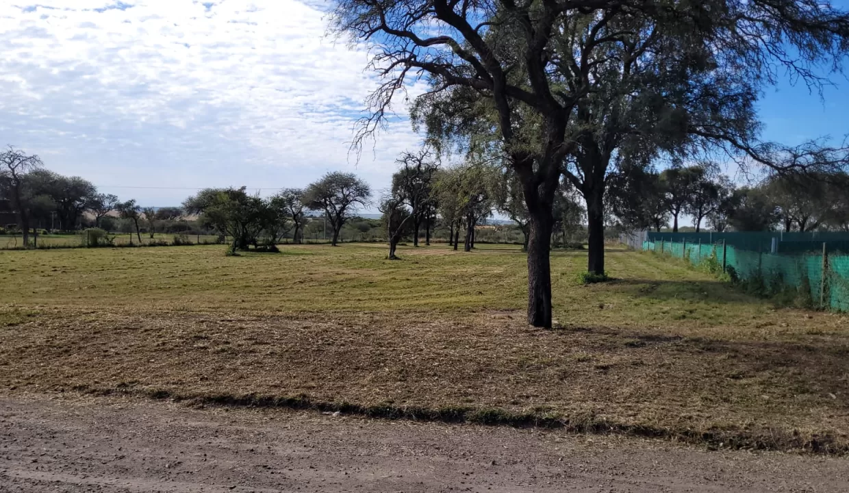 WhatsApp Image 2024-05-20 at 12.43.15