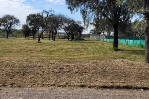 WhatsApp Image 2024-05-20 at 12.43.15 (2)