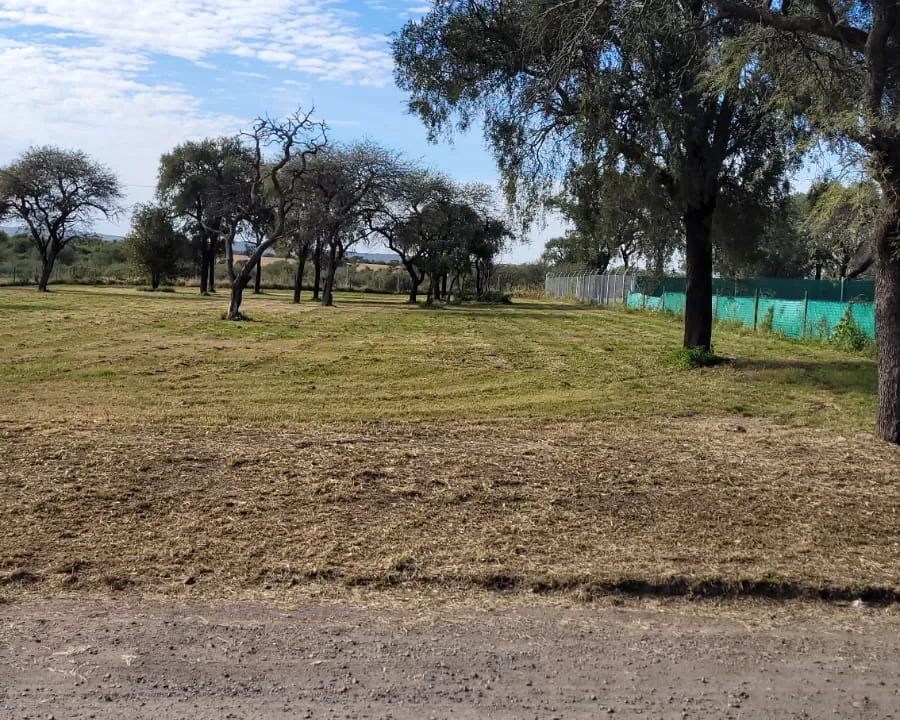 WhatsApp Image 2024-05-20 at 12.43.15 (2)