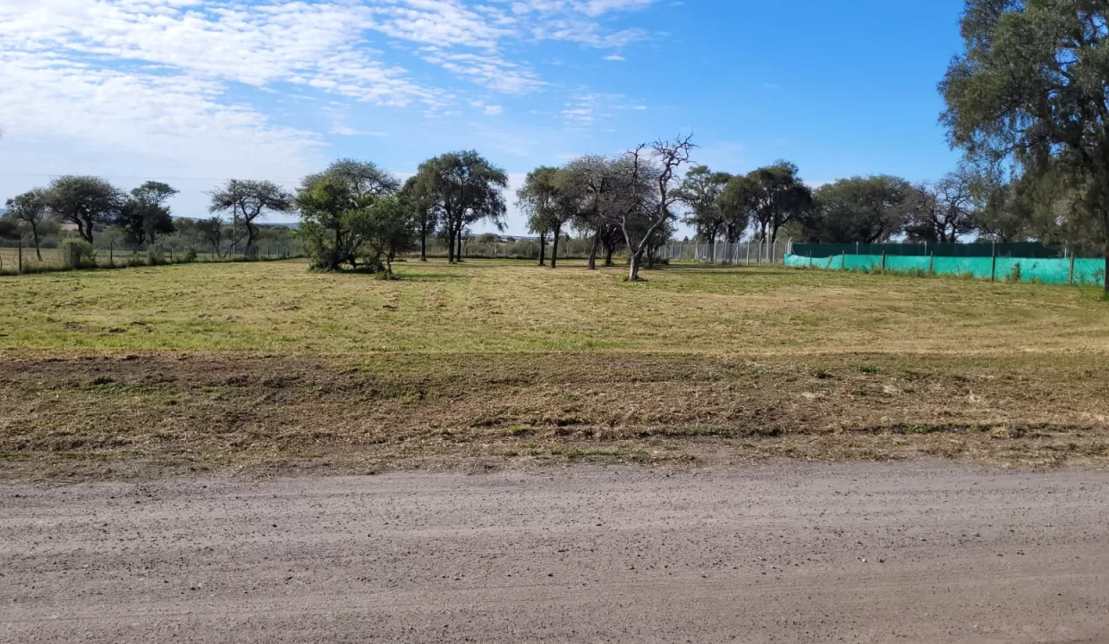 WhatsApp Image 2024-05-20 at 12.43.15 (3)