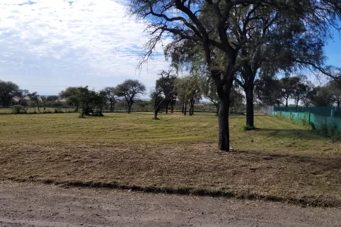 WhatsApp Image 2024-05-20 at 12.43.15