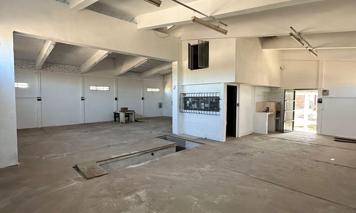 a55b26f3-5924-41bf-981c-3b0481481b7a