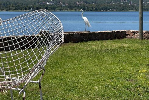 WhatsApp Image 2024-12-10 at 19.04.59