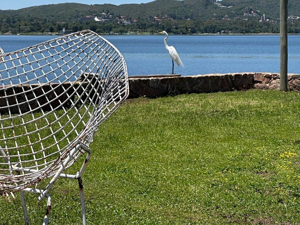 WhatsApp Image 2024-12-10 at 19.04.59