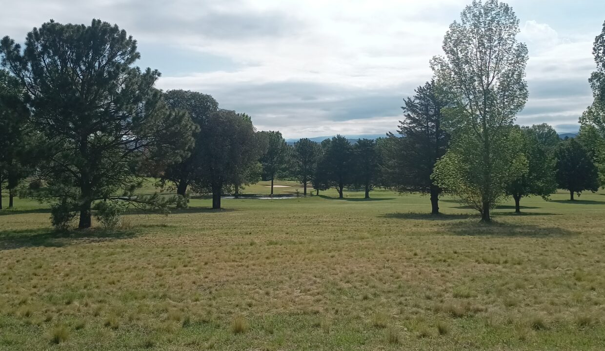 IMG_20231201_165208955