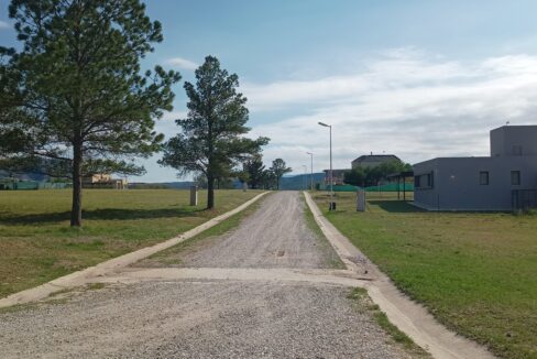 IMG_20231201_170524924