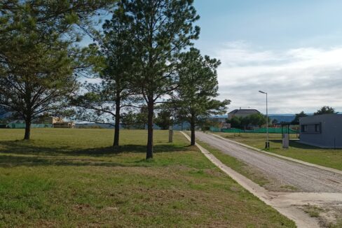 IMG_20231201_170527829