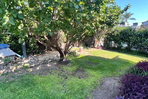 e99500e7-0af3-43e2-b2d4-725136c11c73