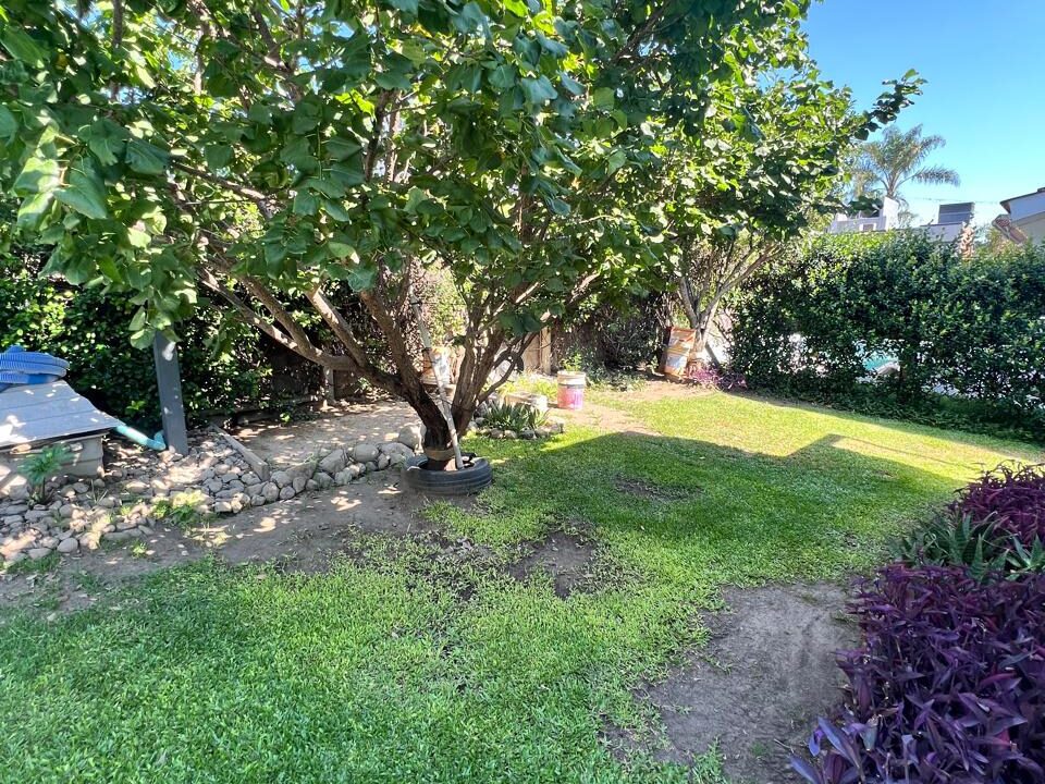 e99500e7-0af3-43e2-b2d4-725136c11c73