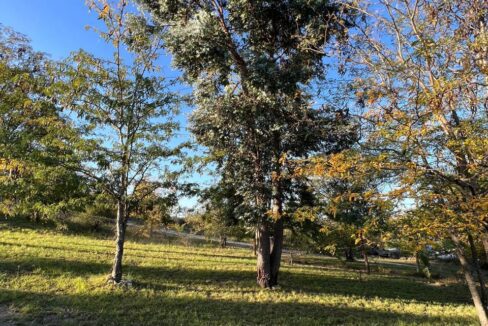 104a6942-5b41-4a71-bd1e-7808ff89c4ba