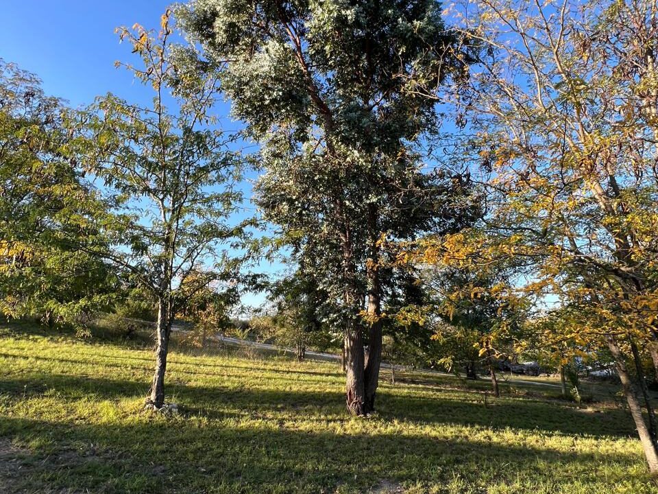 104a6942-5b41-4a71-bd1e-7808ff89c4ba