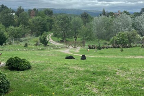 7baba6bd-a65b-491a-b826-bf2c3b312fb5