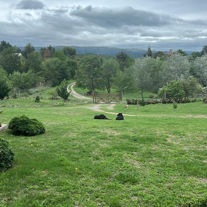 7baba6bd-a65b-491a-b826-bf2c3b312fb5