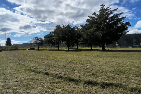 IMG_20250410_111005191_HDR